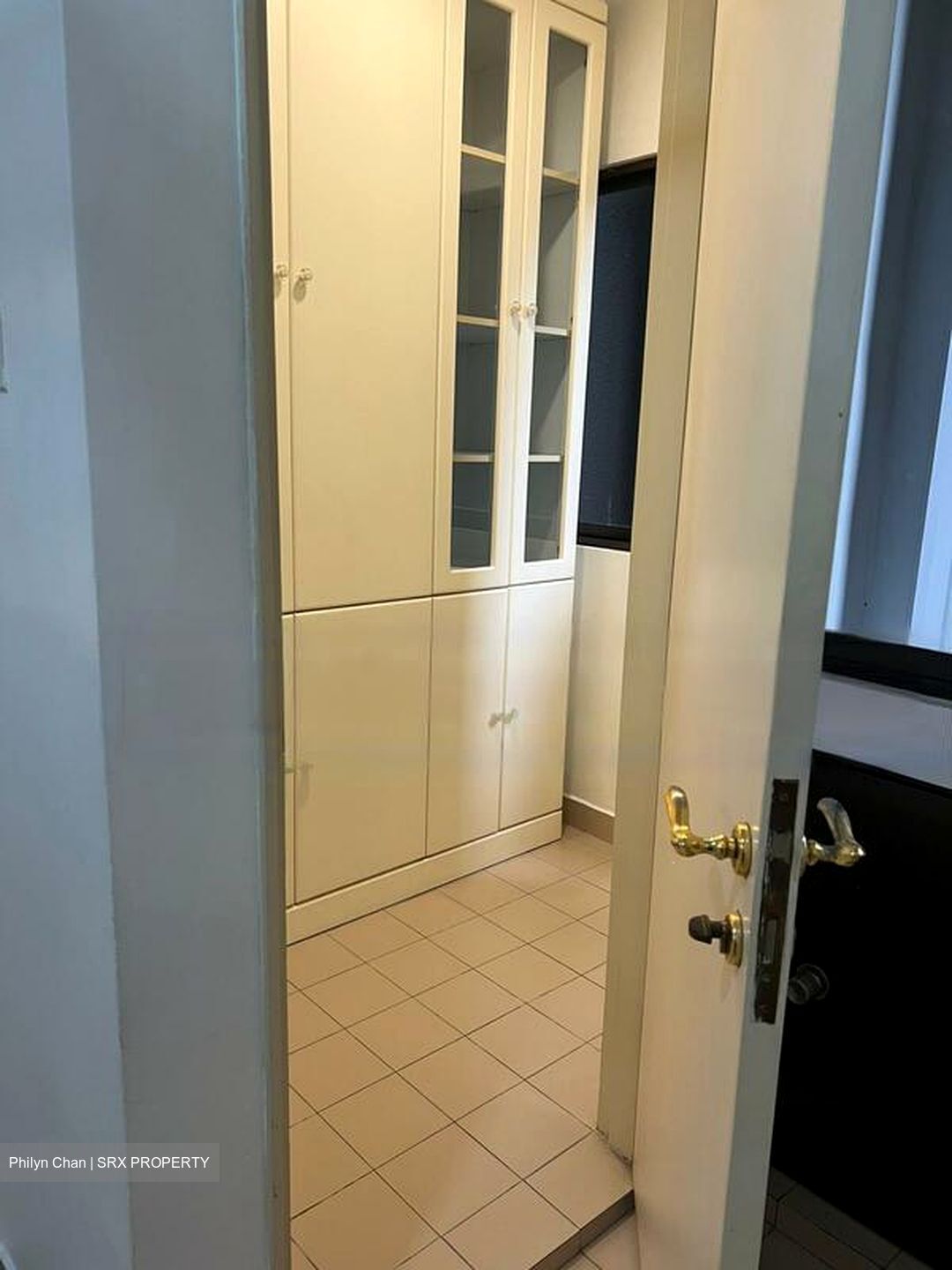 Richmond Park (D9), Condominium #458118521